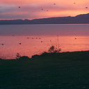 sunrise-Motutara-Pt-Rotorua-2013-06-26-IMG 1958