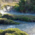 thermal-pool-Kuirau-Park-Rotorua-2013-06-26-IMG 8590