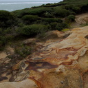 sandstone-with-iron-tracings-South-Head-Hokianga-09-07-2011-IMG 9148