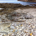 cobble-beach-pinkish-and-lavender-grey-stones-Smugglers-Cove-2015-09-07-IMG_0109.jpg