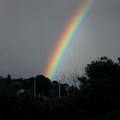 rainbow-Whangarei-15-07-2011-IMG_2965.jpg