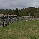 stone-farm-walls-on-approach-road-to-Pukenui-Reserve-Whangarei-2013-07-11-IMG 9207