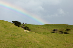 view-of-rainbow-over-Smugglers-Track-pastureland-Whangarei-Heads-2013-07-12-IMG 9307