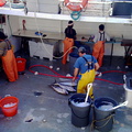 tuna-boat-workers-img_007-2012-03-10.jpg