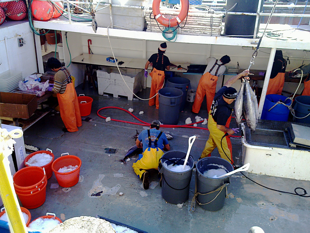 tuna-boat-workers-img 008-2012-03-10