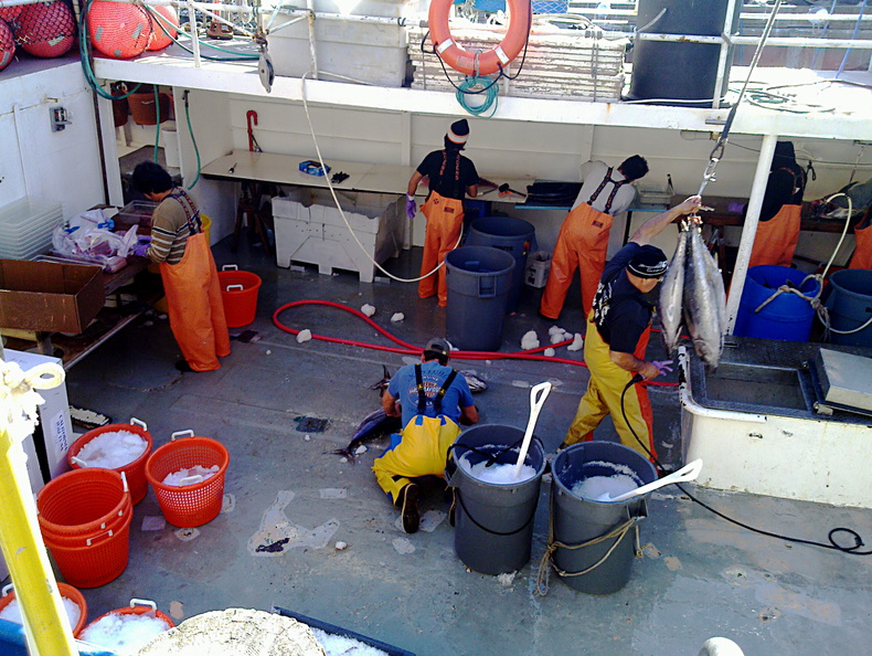 tuna-boat-workers-img_008-2012-03-10.jpg