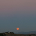 full-moon-rising-Moorpark-IMG 8651