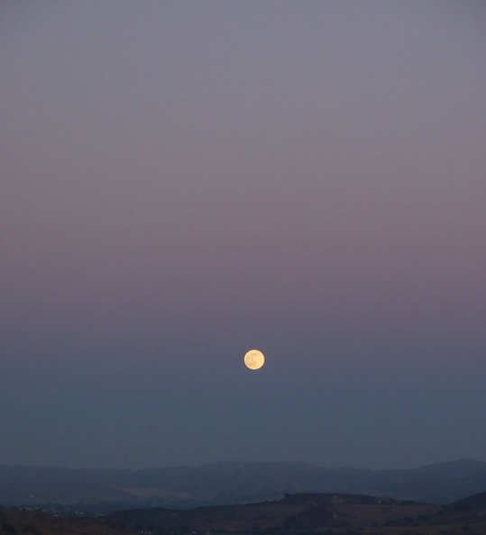 full-moon-rising-over-Santa-Susana-mountains-2014-06-12-IMG_4008.jpg