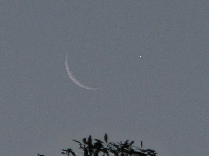 moon-crescent-venus-2009-04-22-IMG_2758.jpg