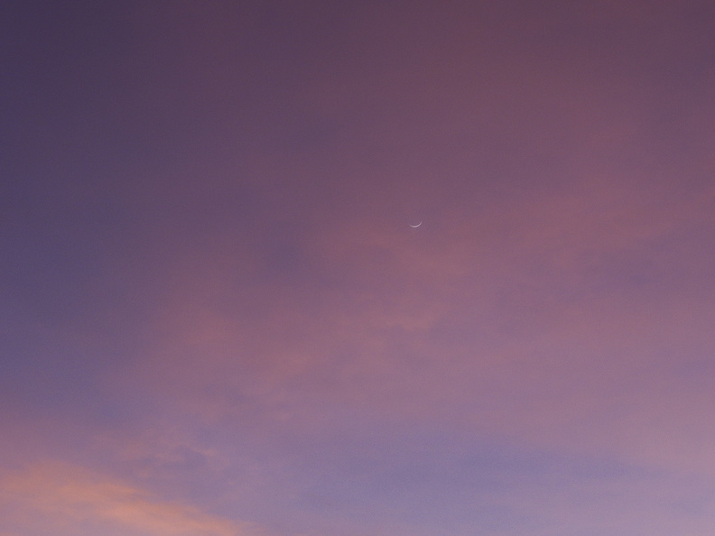 sunset-crescent-moon-2011-02-05-IMG_7012.jpg