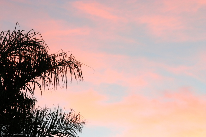 sunset-pink-clouds-2006-02-06.jpg