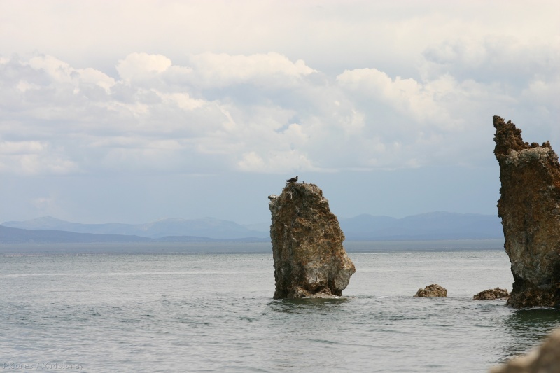 Mono Lake osprey nests on tufa1